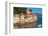 Portofino, Genova (Genoa), Liguria, Italy, Europe-Carlo Morucchio-Framed Photographic Print