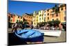 Portofino, Genova, Liguria, Italy, Europe-Carlo Morucchio-Mounted Photographic Print