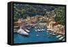 Portofino Harbor From Above, Liguria, Italy-George Oze-Framed Stretched Canvas