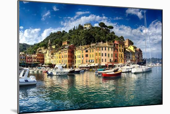 Portofino Harbor Low Angle View, Liguria, Italy-George Oze-Mounted Photographic Print