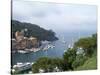 Portofino Harbor-Marilyn Dunlap-Stretched Canvas