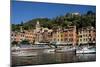 Portofino Italy II-Charles Bowman-Mounted Photographic Print