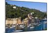 Portofino Italy-Charles Bowman-Mounted Photographic Print