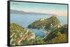 Portofino, Italy-null-Framed Stretched Canvas