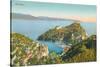 Portofino, Italy-null-Stretched Canvas