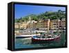 Portofino, Liguria, Italy, Europe-Ruth Tomlinson-Framed Stretched Canvas