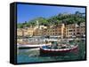 Portofino, Liguria, Italy, Europe-Ruth Tomlinson-Framed Stretched Canvas