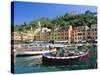 Portofino, Liguria, Italy, Europe-Ruth Tomlinson-Stretched Canvas