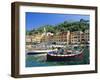 Portofino, Liguria, Italy, Europe-Ruth Tomlinson-Framed Photographic Print