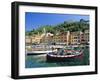 Portofino, Liguria, Italy, Europe-Ruth Tomlinson-Framed Photographic Print