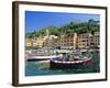 Portofino, Liguria, Italy, Europe-Ruth Tomlinson-Framed Photographic Print