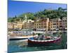 Portofino, Liguria, Italy, Europe-Ruth Tomlinson-Mounted Photographic Print