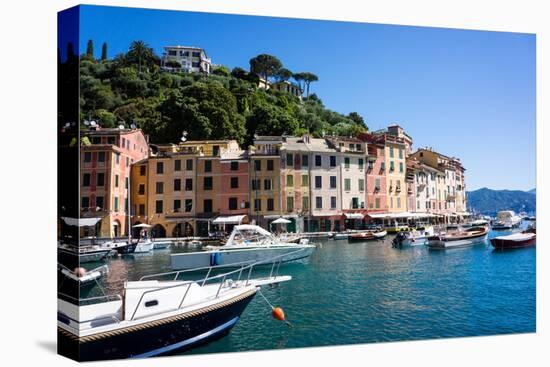 Portofino, Liguria, Italy, Europe-Peter Groenendijk-Stretched Canvas