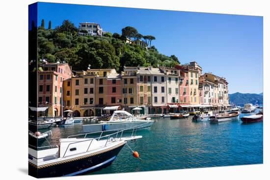 Portofino, Liguria, Italy, Europe-Peter Groenendijk-Stretched Canvas