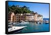 Portofino, Liguria, Italy, Europe-Peter Groenendijk-Framed Stretched Canvas