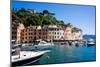 Portofino, Liguria, Italy, Europe-Peter Groenendijk-Mounted Photographic Print