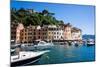 Portofino, Liguria, Italy, Europe-Peter Groenendijk-Mounted Photographic Print