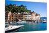 Portofino, Liguria, Italy, Europe-Peter Groenendijk-Mounted Photographic Print