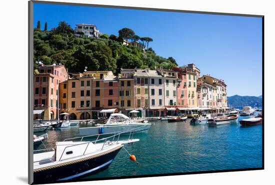 Portofino, Liguria, Italy, Europe-Peter Groenendijk-Mounted Photographic Print