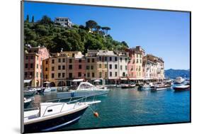 Portofino, Liguria, Italy, Europe-Peter Groenendijk-Mounted Photographic Print