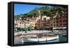 Portofino, Liguria, Italy, Mediterranean, Europe-Peter Groenendijk-Framed Stretched Canvas