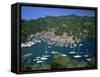 Portofino, Riviera Di Levante, Italian Riviera, Liguria, Italy, Europe-Gavin Hellier-Framed Stretched Canvas