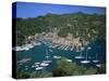 Portofino, Riviera Di Levante, Italian Riviera, Liguria, Italy, Europe-Gavin Hellier-Stretched Canvas