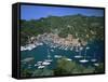 Portofino, Riviera Di Levante, Italian Riviera, Liguria, Italy, Europe-Gavin Hellier-Framed Stretched Canvas