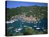 Portofino, Riviera Di Levante, Italian Riviera, Liguria, Italy, Europe-Gavin Hellier-Stretched Canvas