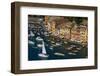 Portofino, Riviera Di Levante, Liguria, Italy, Europe-Charles Bowman-Framed Photographic Print