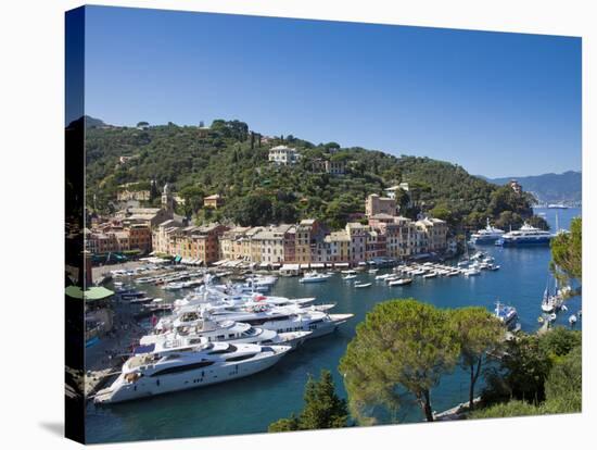 Portofino, Riviera Di Levante, Liguria, Italy-Jon Arnold-Stretched Canvas