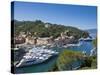 Portofino, Riviera Di Levante, Liguria, Italy-Jon Arnold-Stretched Canvas