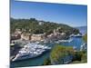 Portofino, Riviera Di Levante, Liguria, Italy-Jon Arnold-Mounted Photographic Print