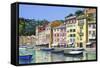 Portofino-Michael Swanson-Framed Stretched Canvas