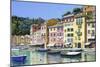 Portofino-Michael Swanson-Mounted Premium Giclee Print