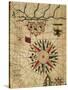 Portolan Chart, Map of Cairo, Egypt-null-Stretched Canvas