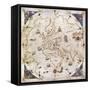 Portolan Chart of the World, Venice, 1519-null-Framed Stretched Canvas