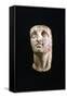 Portrait Bust of a Young Alexander the Great, 4th Century BC-null-Framed Stretched Canvas