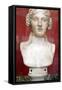 Portrait Bust of Dionysus, God of Wine and Patron of Wine Making-null-Framed Stretched Canvas