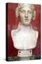 Portrait Bust of Dionysus, God of Wine and Patron of Wine Making-null-Stretched Canvas