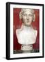 Portrait Bust of Dionysus, God of Wine and Patron of Wine Making-null-Framed Photographic Print