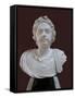 Portrait Bust of Emperor Peter the Great, Mid of the 18th C-null-Framed Stretched Canvas