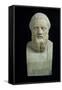 Portrait Bust of Herodotus, Copy of Greek 4th Century BC Original-null-Framed Stretched Canvas