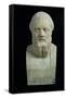 Portrait Bust of Herodotus, Copy of Greek 4th Century BC Original-null-Framed Stretched Canvas