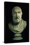 Portrait Bust of Hippocrates, Copy of Greek 4th Century BC Original-null-Stretched Canvas