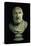 Portrait Bust of Hippocrates, Copy of Greek 4th Century BC Original-null-Stretched Canvas