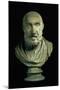 Portrait Bust of Hippocrates, Copy of Greek 4th Century BC Original-null-Mounted Giclee Print