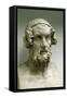 Portrait Bust of Homer-Greek-Framed Stretched Canvas