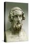 Portrait Bust of Homer-Greek-Stretched Canvas