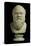 Portrait Bust of Socrates, Copy of Greek Early 4th Century BC Original-null-Stretched Canvas